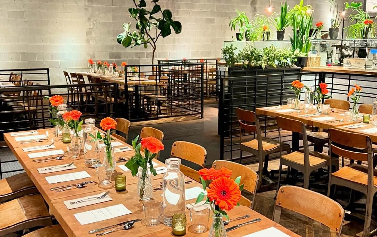 Events at Commonwealth Café